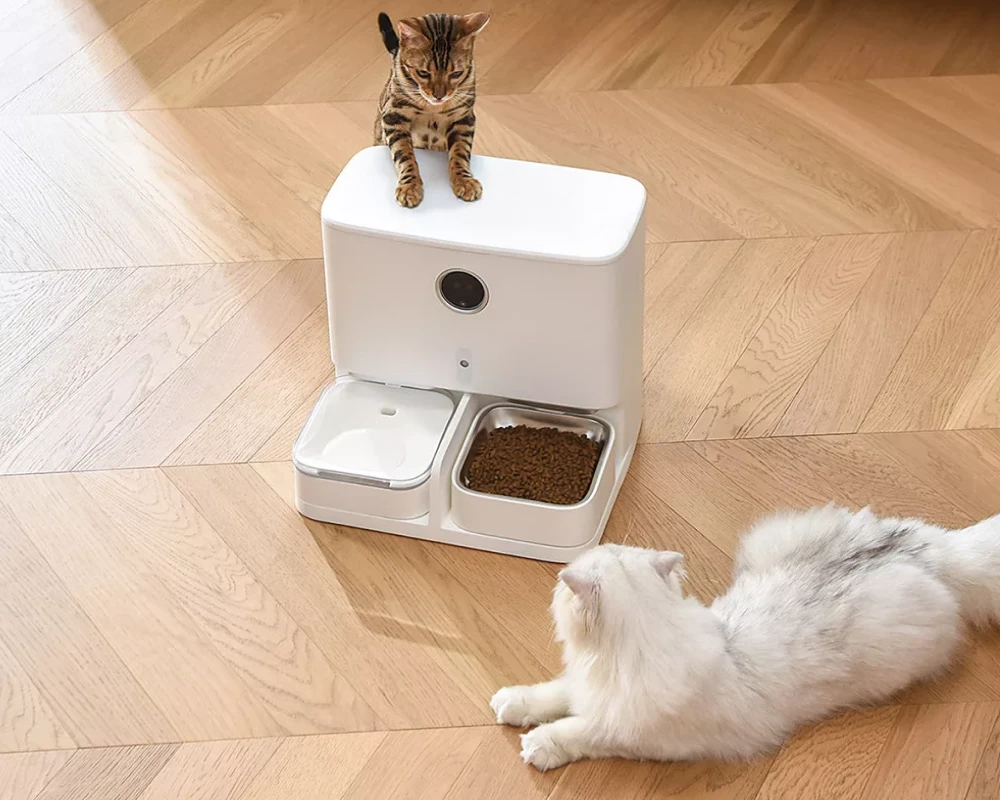 automatic cat feeder with camera