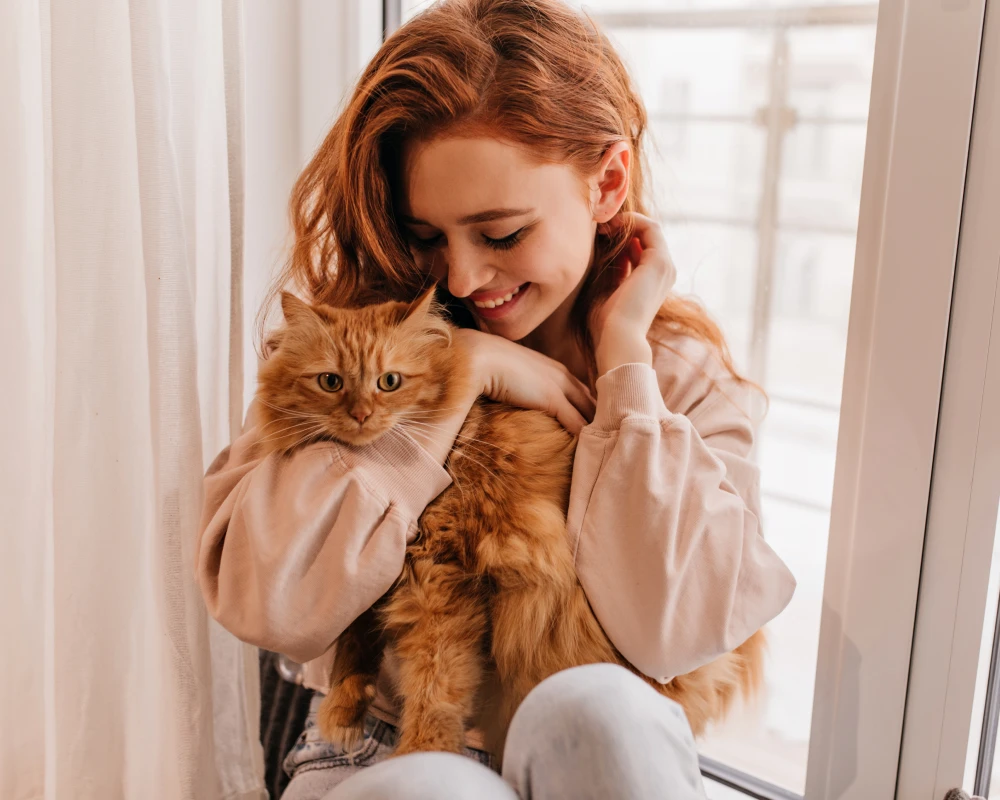 automatic wifi pet feeder