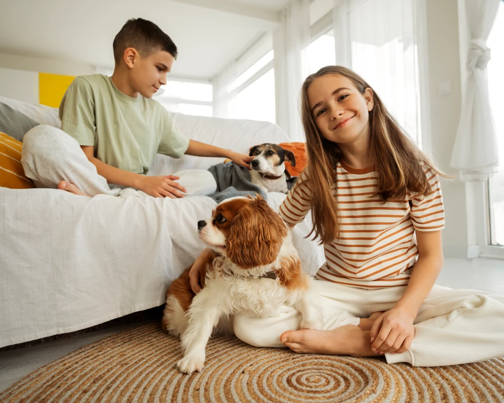 automatic pet feeder multiple cats